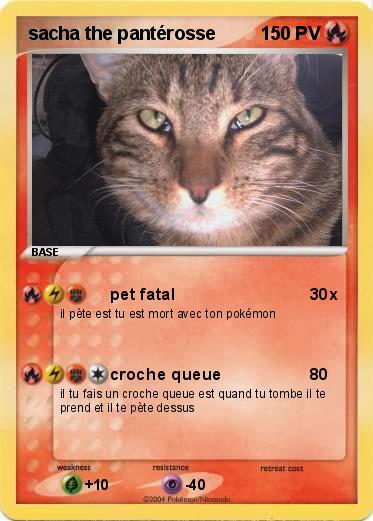 Pokemon Sacha The Panterosse