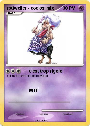 Pokemon rottweiler - cocker mix