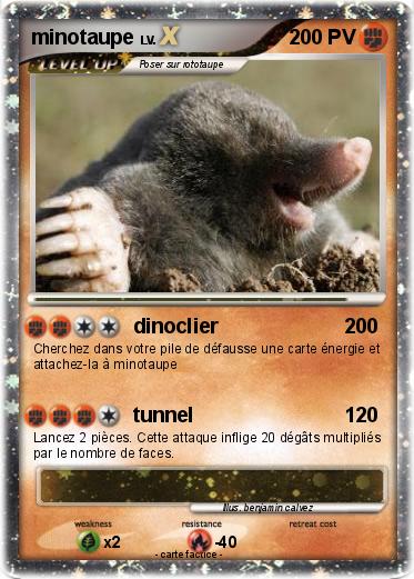 Pokemon minotaupe