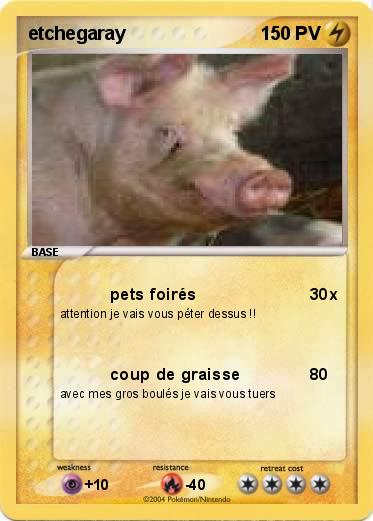 Pokemon etchegaray