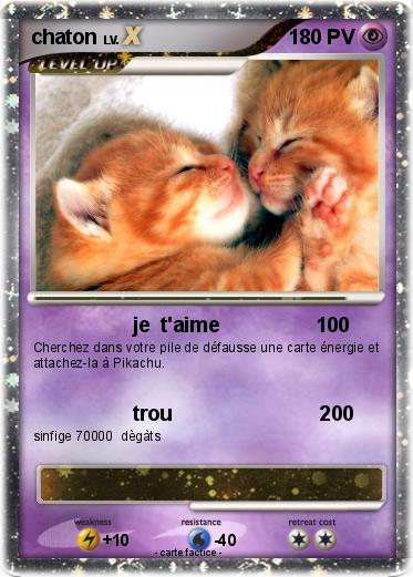 Pokemon chaton