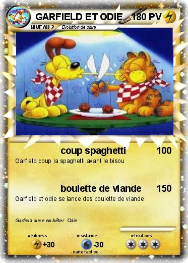 Pokemon GARFIELD ET ODIE