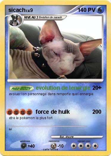 Pokemon sicach