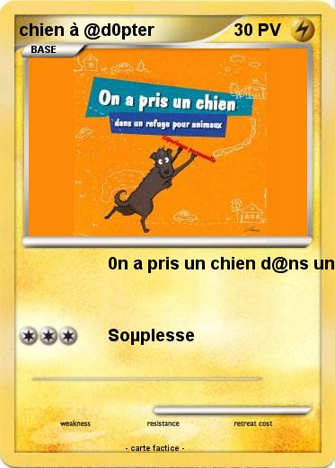 Pokemon chien à @d0pter