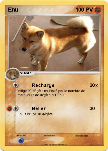 Pokemon Enu