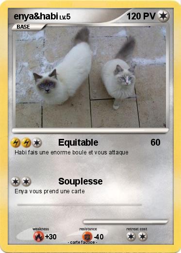 Pokemon enya&habi