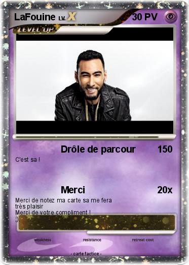 Pokemon LaFouine