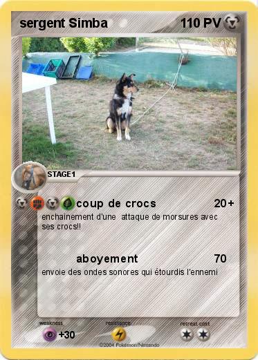 Pokemon sergent Simba