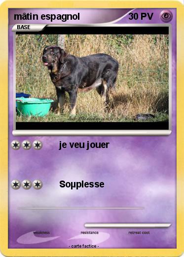 Pokemon mâtin espagnol