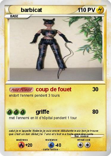 Pokemon barbicat