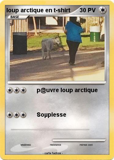 Pokemon loup arctique en t-shirt