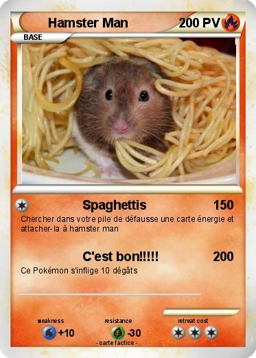 Pokemon Hamster Man