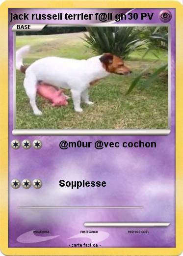Pokemon jack russell terrier f@il gh