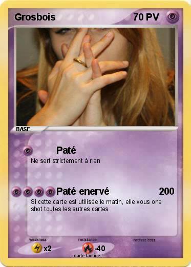 Pokemon Grosbois