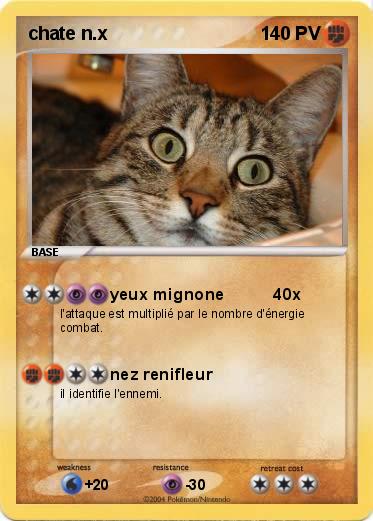 Pokemon chate n.x                                            