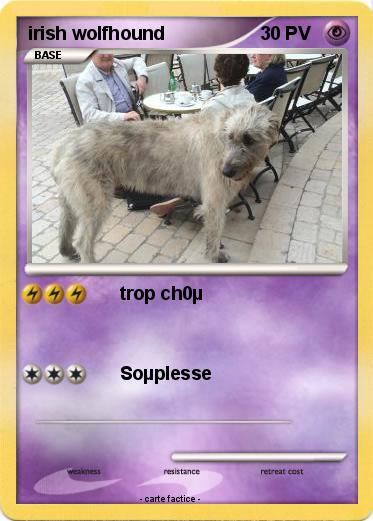 Pokemon irish wolfhound