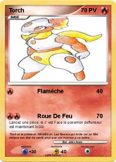 Pokemon Torch