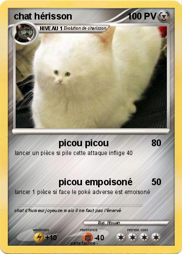 Pokemon chat hérisson