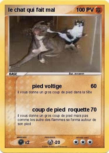 Pokemon le chat qui fait mal