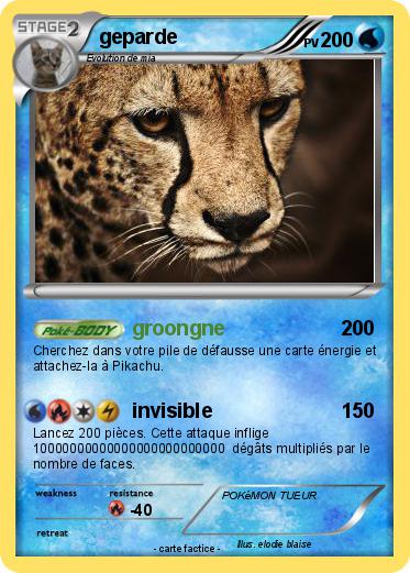 Pokemon geparde