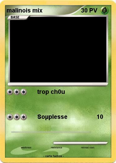 Pokemon malinois mix