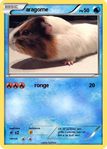 Pokemon aragorne