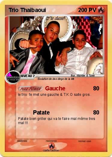 Pokemon Trio Thaibaoui