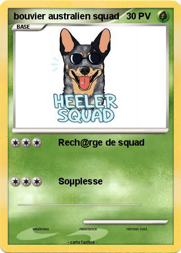 Pokemon bouvier australien squad