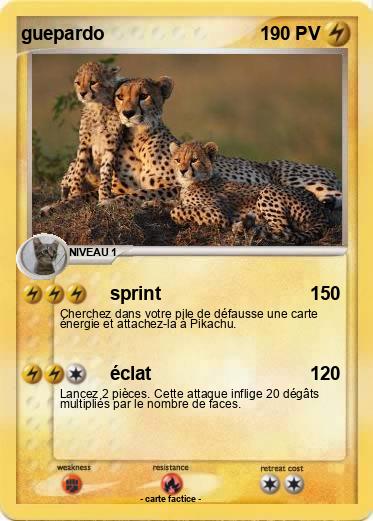 Pokemon guepardo
