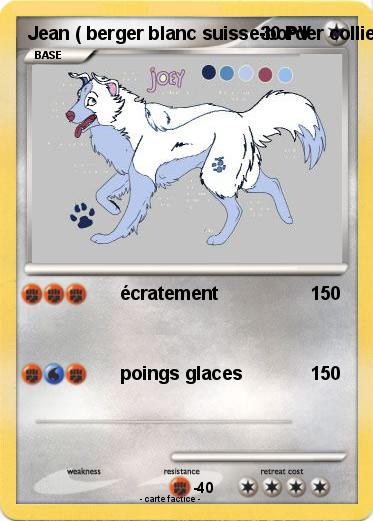 Pokemon Jean ( berger blanc suisse-border collie mix )