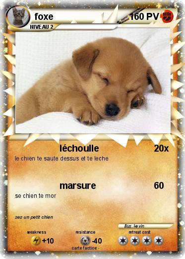 Pokemon foxe