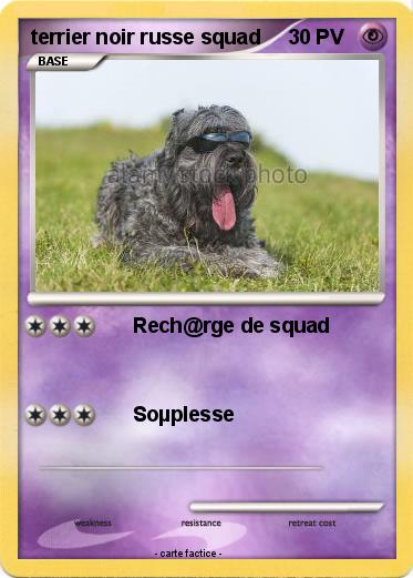 Pokemon terrier noir russe squad