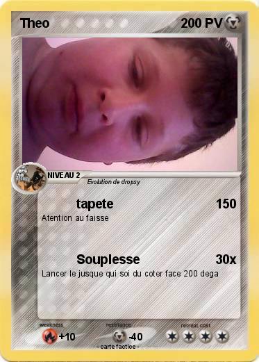 Pokemon Theo
