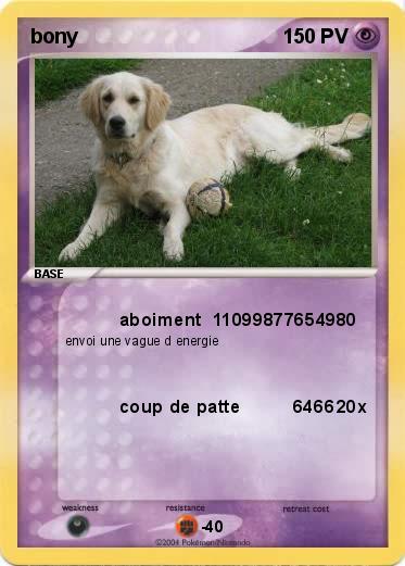 Pokemon bony    
