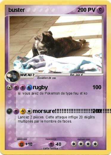 Pokemon buster