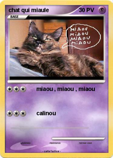 Pokemon chat qui miaule
