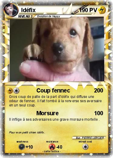 Pokemon Idéfix