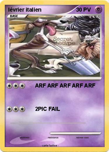 Pokemon lévrier italien