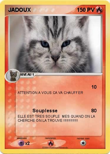 Pokemon JADOUX