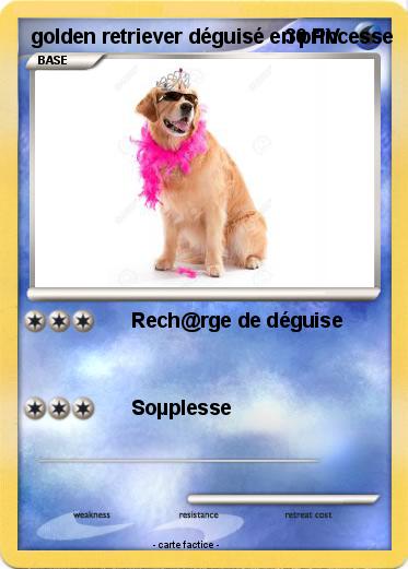 Pokemon golden retriever déguisé en princesse
