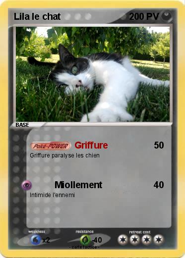 Pokemon Lila le chat