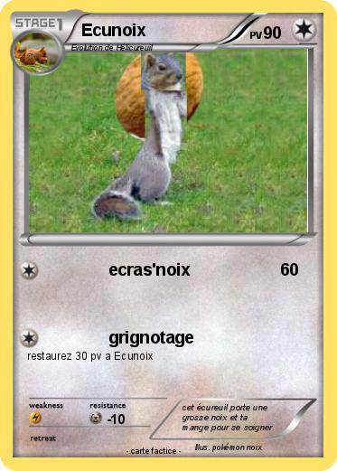 Pokemon Ecunoix