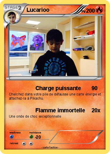 Pokemon Lucarioo