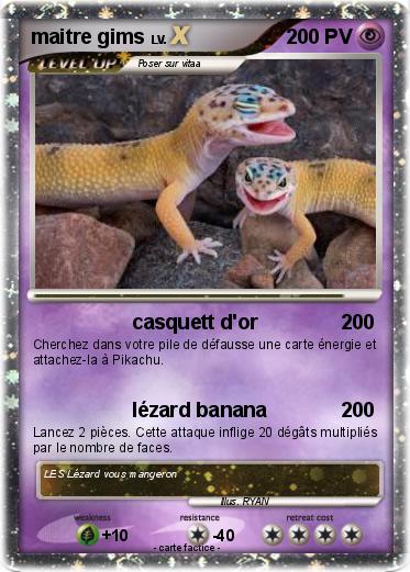 Pokemon maitre gims