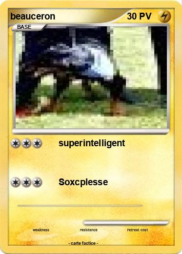Pokemon beauceron