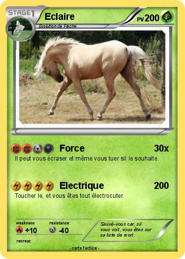 Pokemon Eclaire
