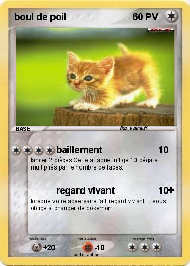 Pokemon boul de poil