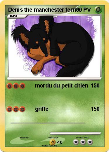 Pokemon Denis the manchester terrier