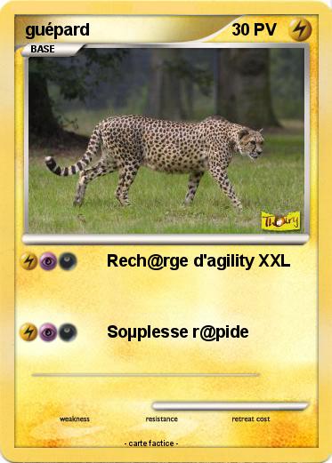 Pokemon guépard