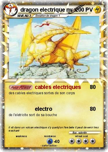 Pokemon dragon electrique nv x